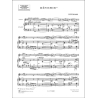 Robert Schumann - Reverie Violon-Piano