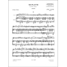 Louis Vierne - Sonate Violin - Piano
