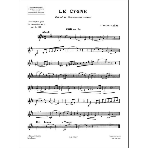 Camille Saint-Saëns - Le Cygne Extrait du Carnaval des Animaux
