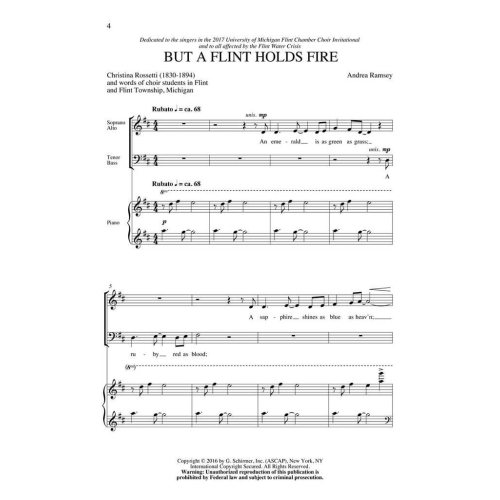 Andrea Ramsey - But a Flint Holds Fire