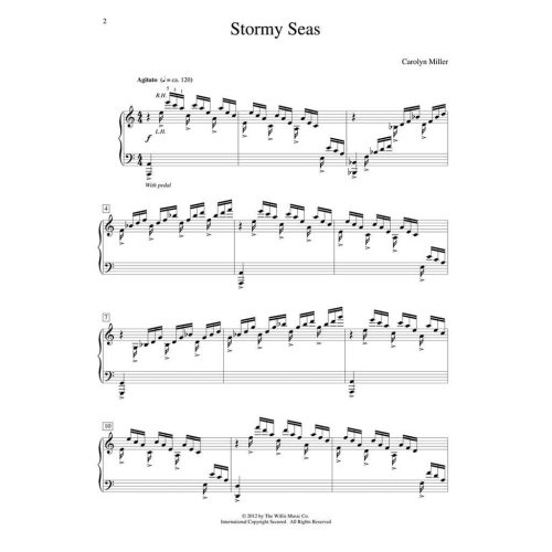 Miller, Carolyn - Stormy Seas