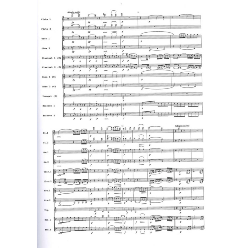 First Symphony - Ludwig van Beethoven