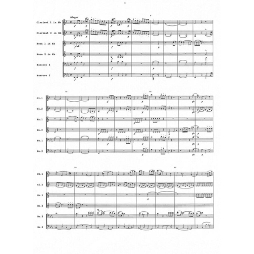 Hornquintet - Wolfgang Amadeus Mozart