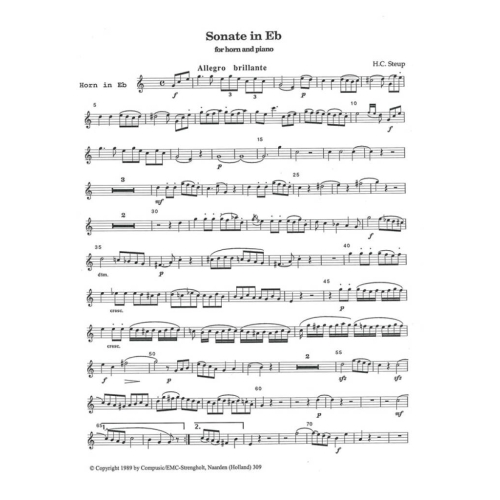 Sonata No. 11 - H C Steup
