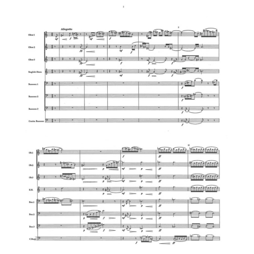 Nachtstucke - Erich Hartmann