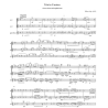 Trio in G minor - W Luijt