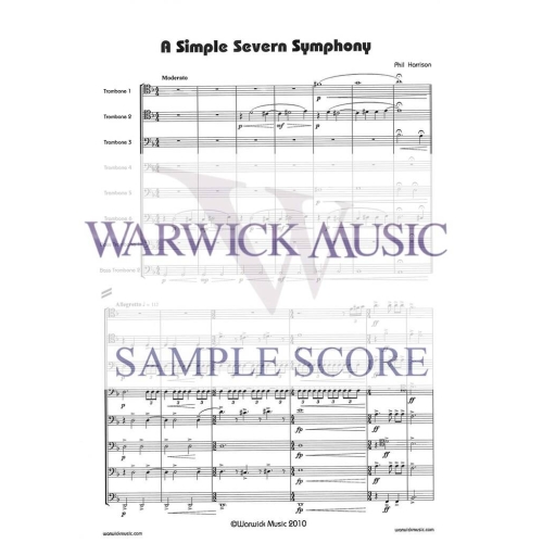 Philip Harrison - A Simple Severn Symphony