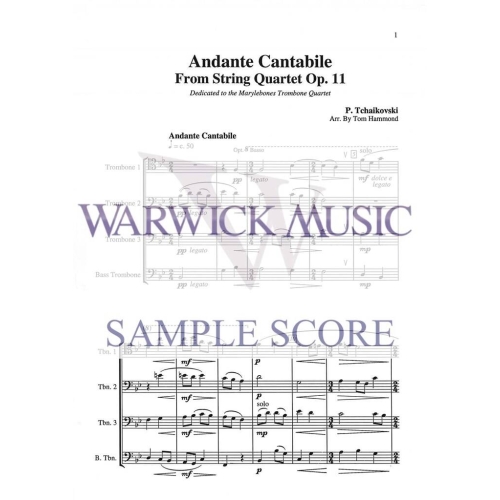 Pyotr Ilyich Tchaikovsky - Andante Cantabile