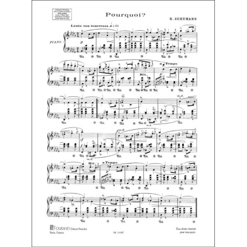 Robert Schumann - Pourquoi Piano