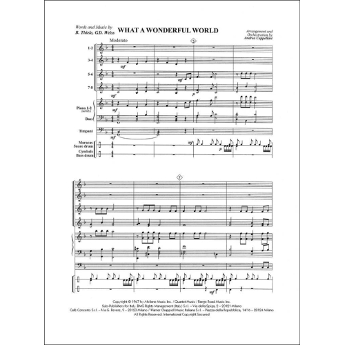 Thiele-Weisse - What A Wonderful World For Ensemble