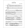 Giuseppe Verdi - Celeste Aida, da Aida