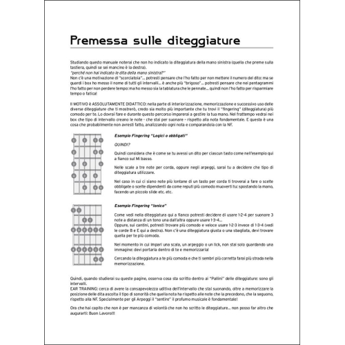 Massimo Varini - Fingerboard, Volume 4 (Arpeggiology)