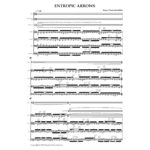 Thorvaldsdottir, Anna - Entropic Arrows
