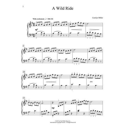 Miller, Carolyn - A Wild Ride