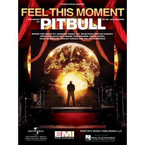 Feel this Moment