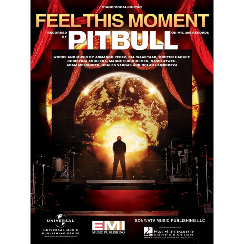 Feel this Moment