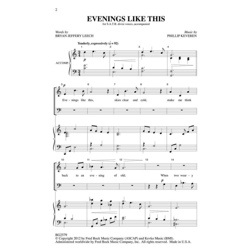 Leech, Bryan Jeffery - Evenings Like This