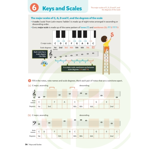 Poco Music Theory for Young Musicians, Grade 1