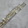 Trevor James 'Performer' Alto Flute Outfit - Curved Head