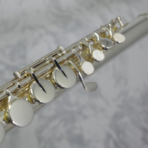 Trevor James 'Performer' Alto Flute Outfit - Curved Head