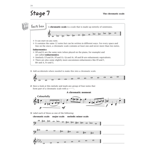 Improve Your Theory! Grade 4