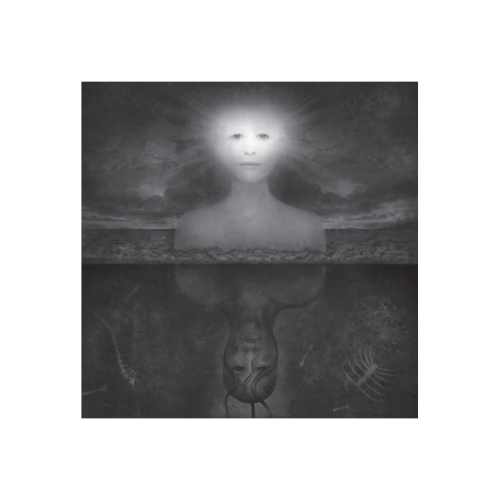Muse - Drones (PVG)