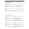 Violin Basics (teacher's book)