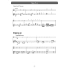 Violin Basics (teacher's book)