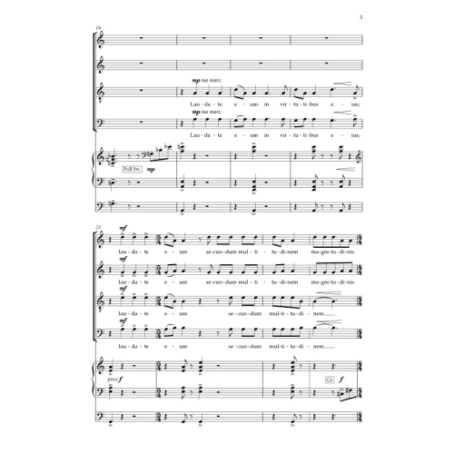 Martin, Matthew - Laudate Dominum. SATB (CSS)