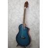 Ortega Tourplayer Deluxe Blueburst