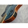 Ortega Tourplayer Deluxe Blueburst