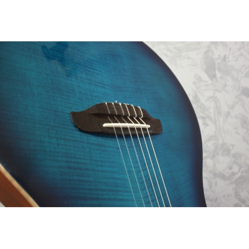 Ortega Tourplayer Deluxe Blueburst