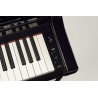 Yamaha Clavinova CSP255 Digital Piano