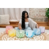 Sonic Energy Marble Crystal Singing Bowls - Full Set