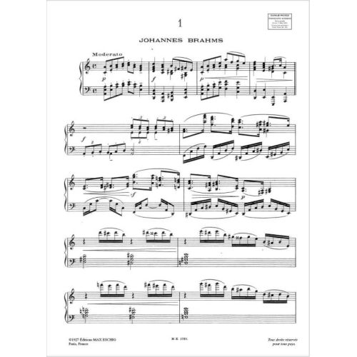  Sample Page 1