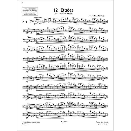  Sample Page 1