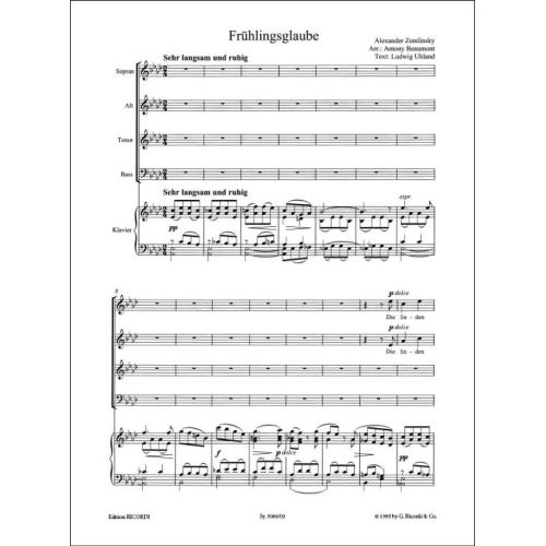  Sample Page 1