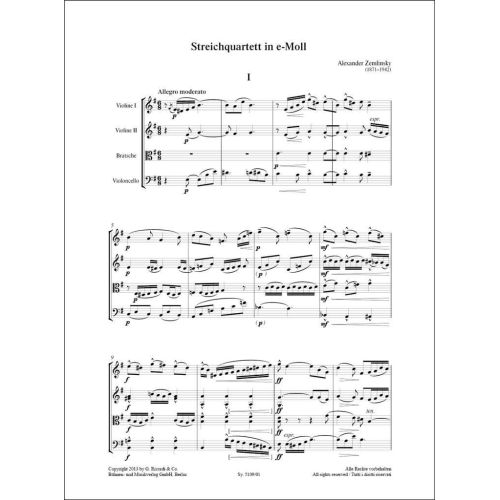  Sample Page 1