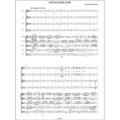  Sample Page 1