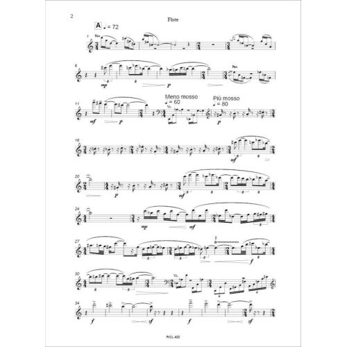  Sample Page 2