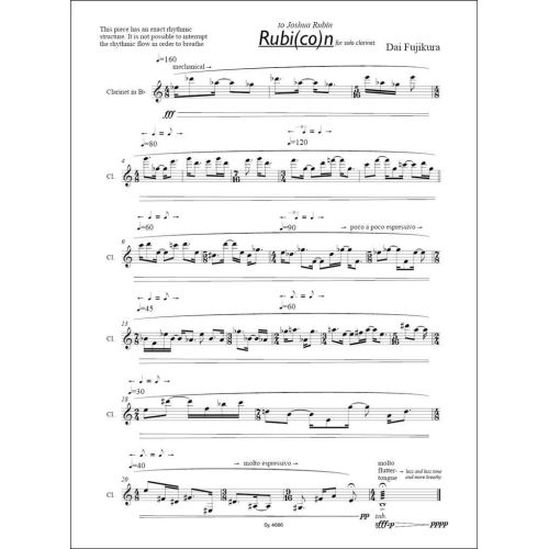  Sample Page 1