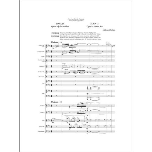  Sample Page 1