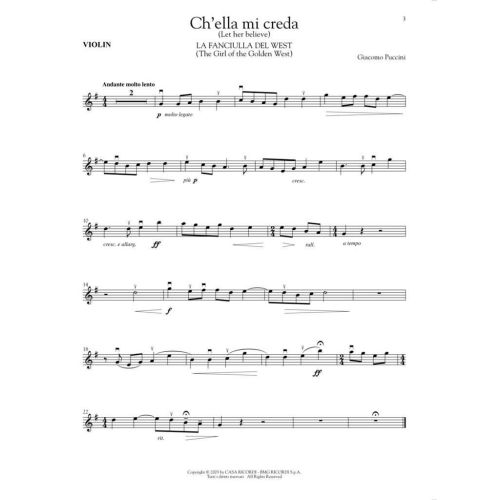  Sample Page 3