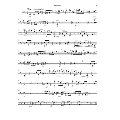 Smetana, Friedrich - Piano Trio op. 15 