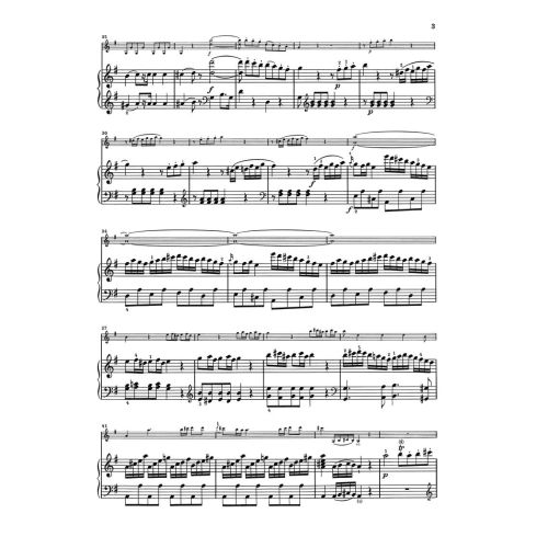 Mozart, Wolfgang Amadeus - Sonatas for Piano and Violin Vol. 1