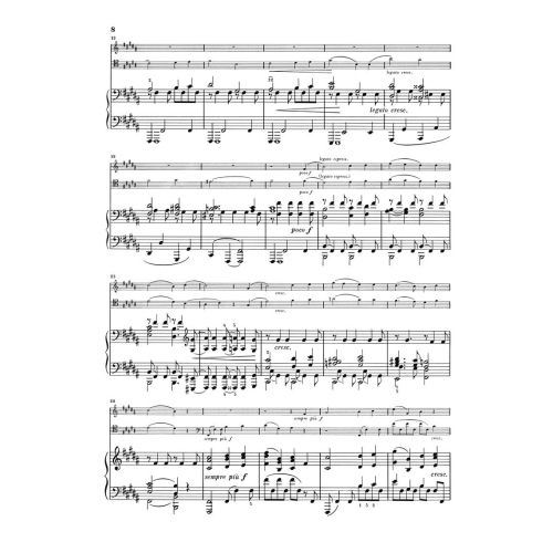 Brahms, Johannes - Piano Trios 