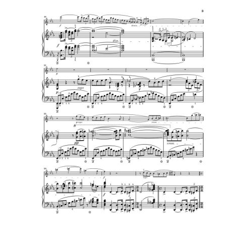 Strauss, Richard - Sonate Es-dur op. 18 für Violine und Klavier op. 18 