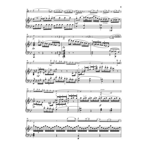 Beethoven, Ludwig van - Sonata in g minor op. 5/2 
