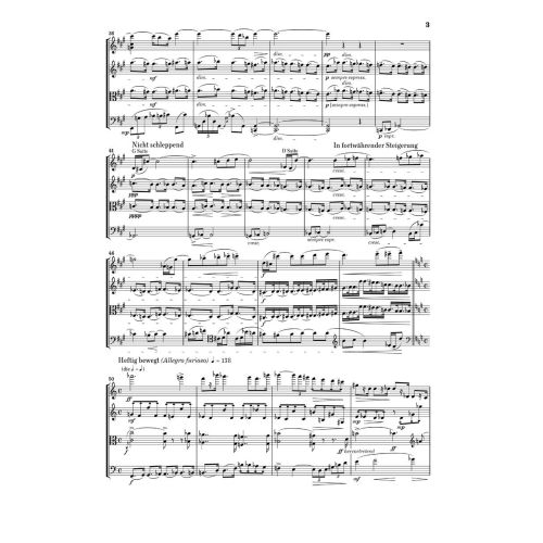 Zemlinsky, Alexander - String Quartet no. 2 op. 15 op. 15 