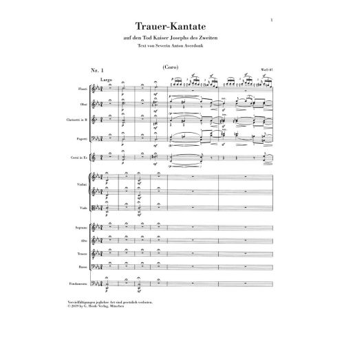 Beethoven, Ludwig van - Cantatas SE 